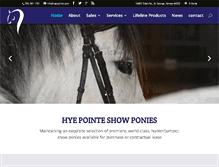 Tablet Screenshot of hyepointe.com